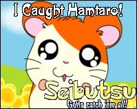 I Caught  Hamtaro The Hamster on 11/22/05