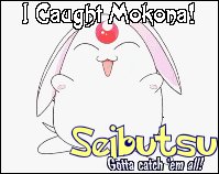 I Caught  Mokona the Rabbit-like-critter on  11/22/05